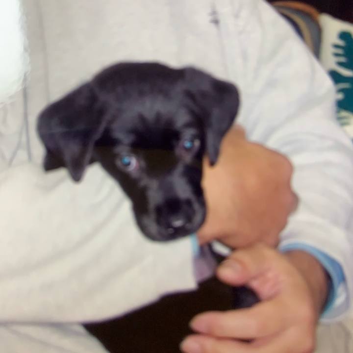 03244f24 5496 4591 87de 52ba3fdf3d2c 1619353200296