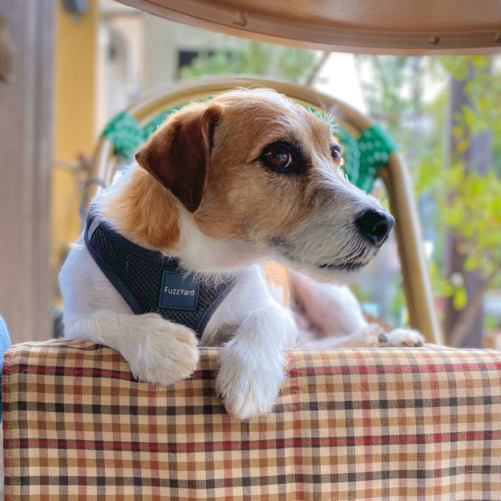 032486d4 5621 4c43 948f cff9c111e444 1665930360914