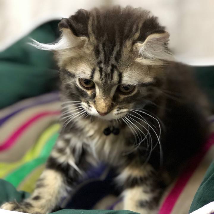 0324b379 45e0 4e48 be08 5b5a98aa6c93 1555211040142