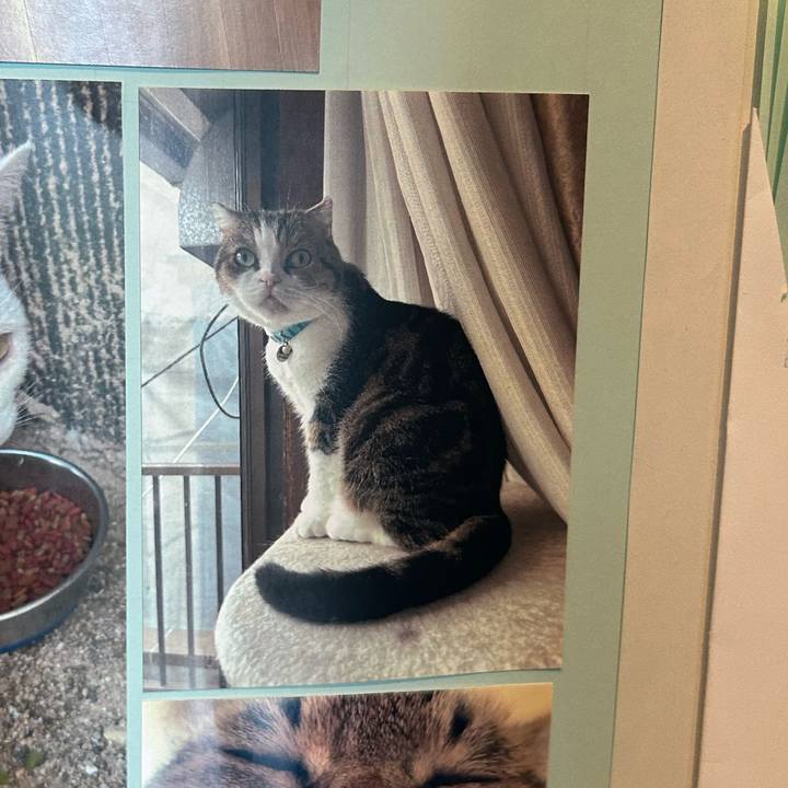 0324cfe5 cd58 44ff 8559 28dd82016435 1760307106929