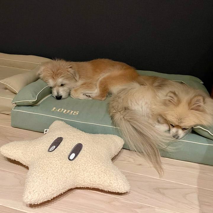 03256360 58c6 47d5 9b4d ea61585c259a 1758984375563