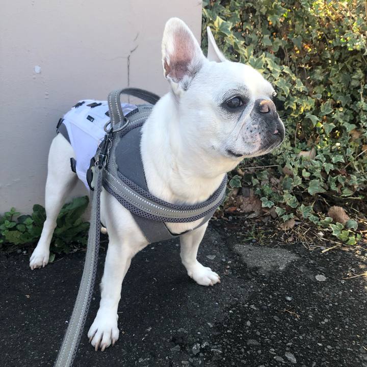 0325636d 05c4 4df5 ad3d e189b7e67fef 1679226999843