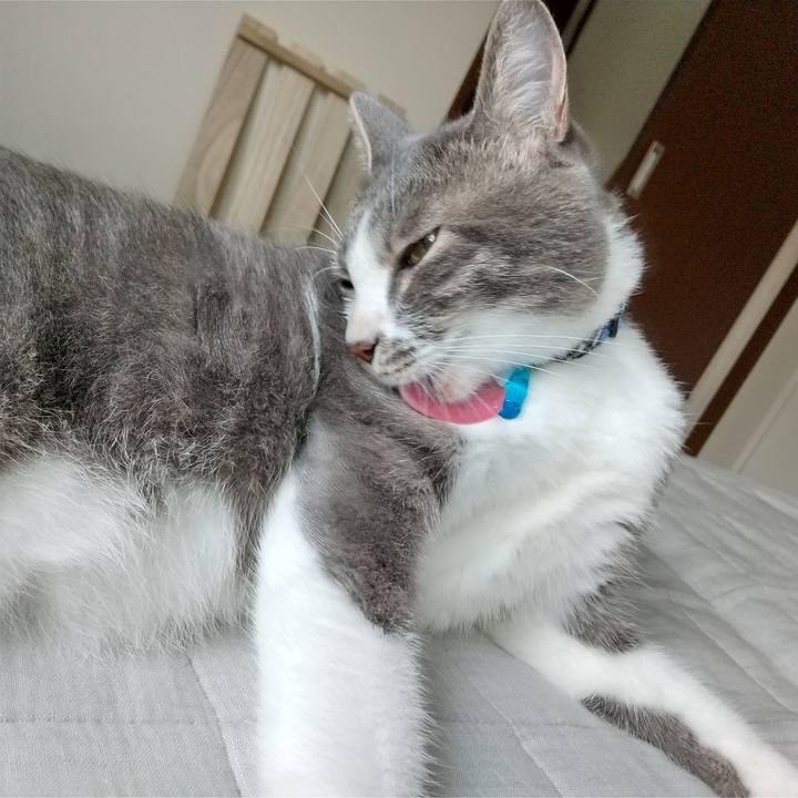 03256bc5 c6ae 4e5e 8ce7 01df923129d5 1598920717233