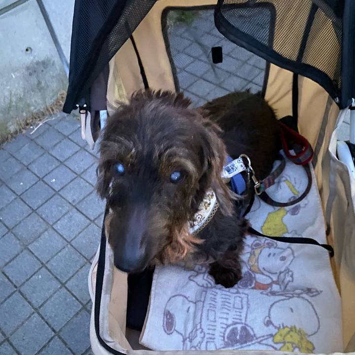 03259886 c886 4611 880d f5d5b5b478df 1627224529700