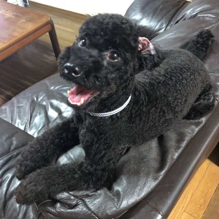 0325bd34 83a1 4aed a068 317648a6c72b 1539006190914