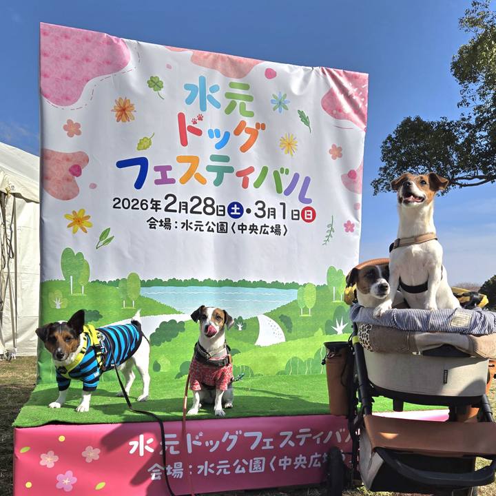 0325c98d 724a 48a4 b827 9cbb06916541 1772284618894