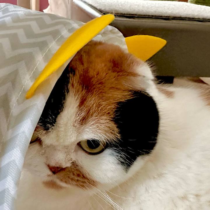 0325dc29 2cf8 4351 93a0 0b39305f8728 1707548588433