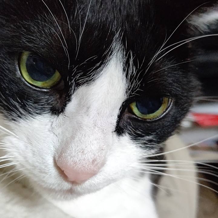 03261558 ed4b 4f87 b832 4c4c971d213d 1643029845972