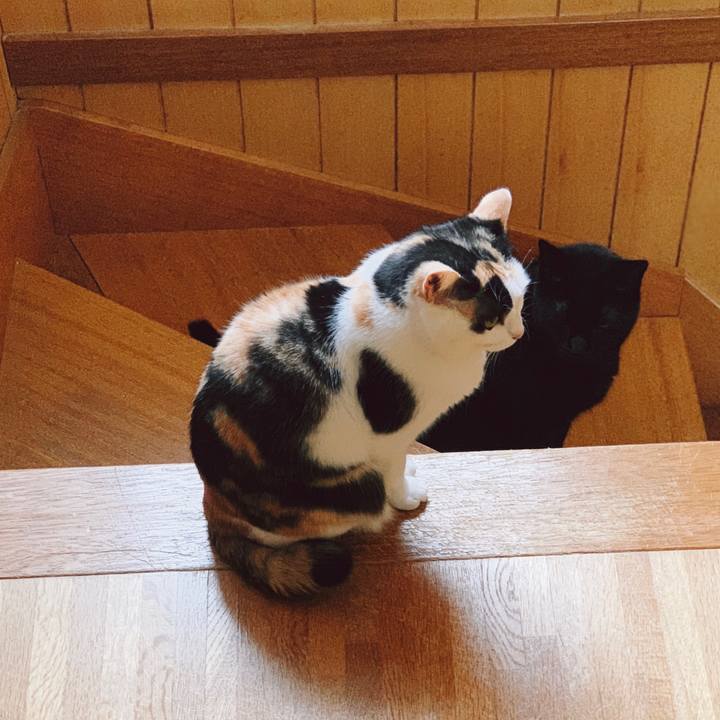 03262b5e 0f13 44e3 8752 232ebda548b6 1557281967899