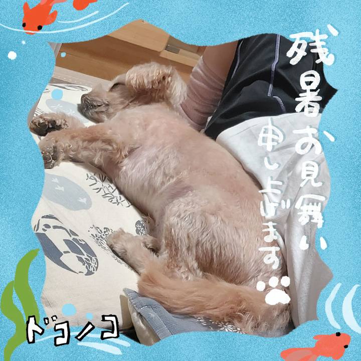 032688ff beb8 4ec7 b97e d5a88001b6cf 1723361805446