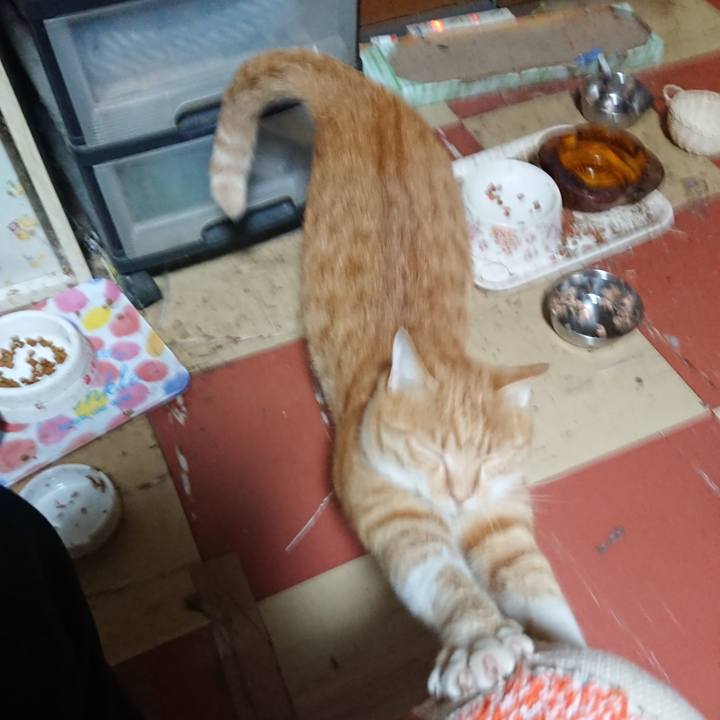 0326ad77 9045 4138 a053 6928a0dceec0 1571390762544