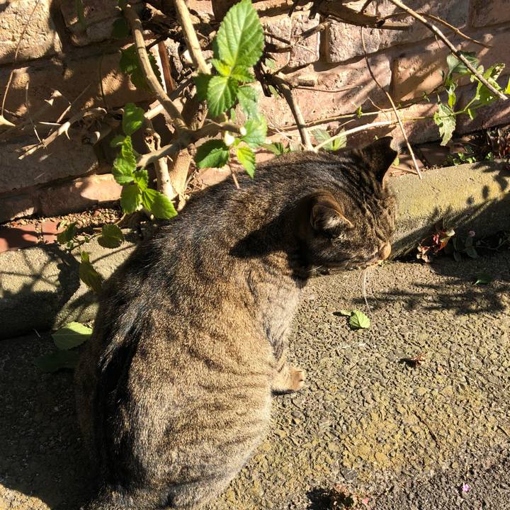 0326df10 2c7a 420e 96df 24d995d03ecf 1513828867660