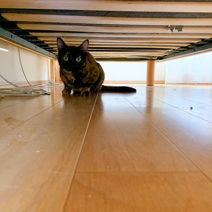 03272066 7fa6 49d3 b0fd b58366f55697 1561727874301