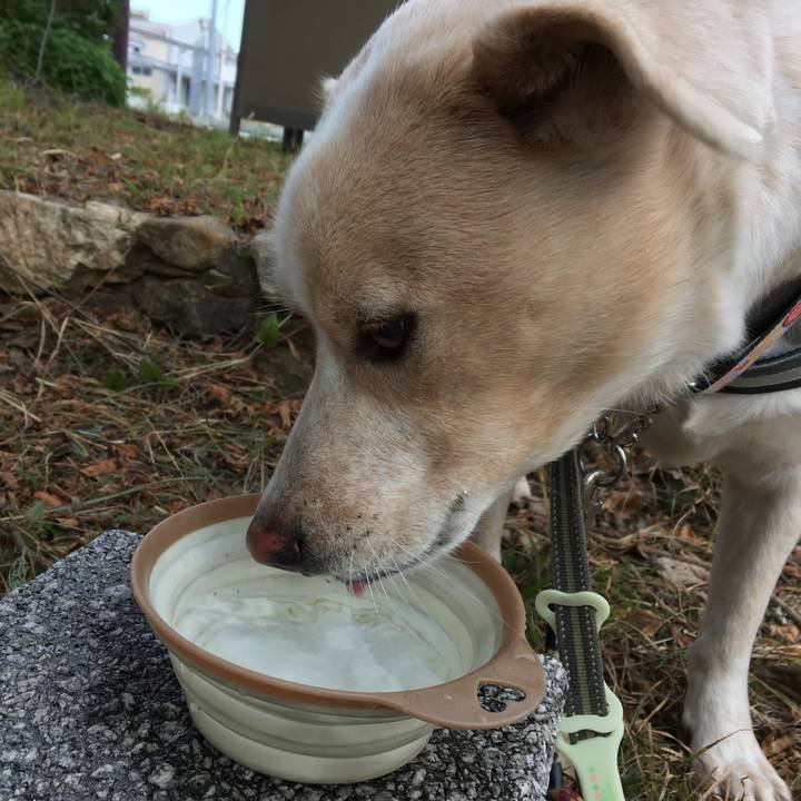 03272f27 460a 4fc1 ac54 afd124b52682 1541129518347