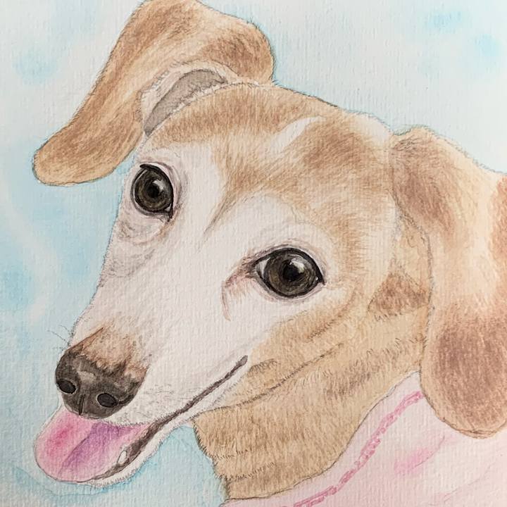 032731ef d846 46b8 bbf2 7f9ee3a9448e 1690768944662