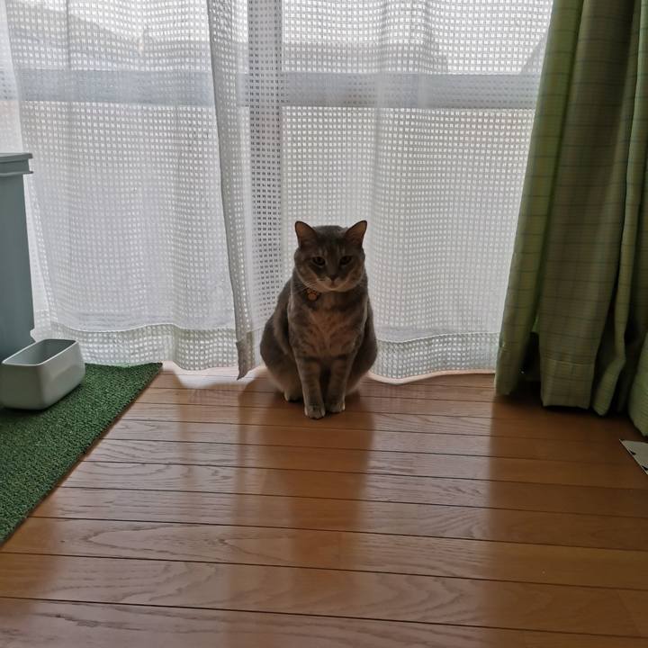 03278306 5a00 4fd6 8e52 77613fbfe00c 1599710106105