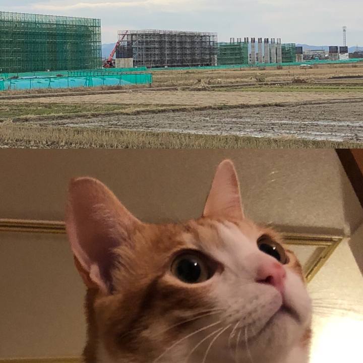 0327a34b ff7f 464f b3e6 0ff28b85cd3d 1512902325448