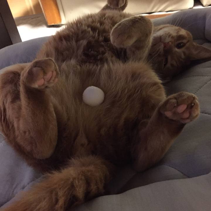 0327a71d 2074 4277 b89e 5c59abaad802 1560776703985