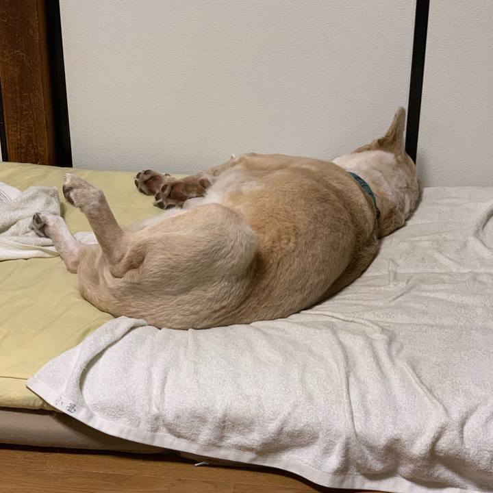 0327b3ed 5225 4d2b 8a2d 4340c61468b2 1559997596737