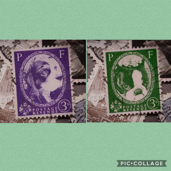 0327bd5a 136d 424b 852b f21488a304cc 1569908053879