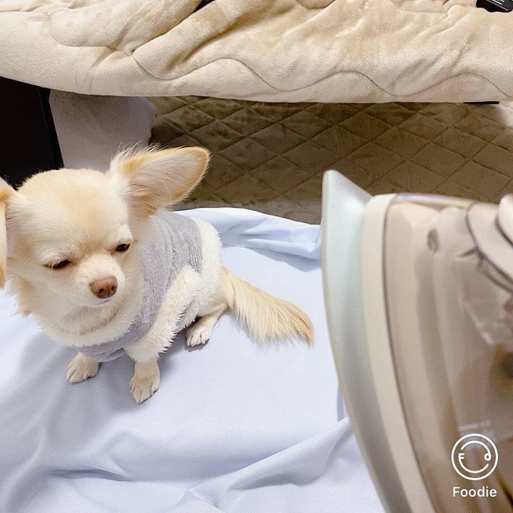 0327d2c1 5819 4b7a 8d58 e369a3c92cfc 1606884058136