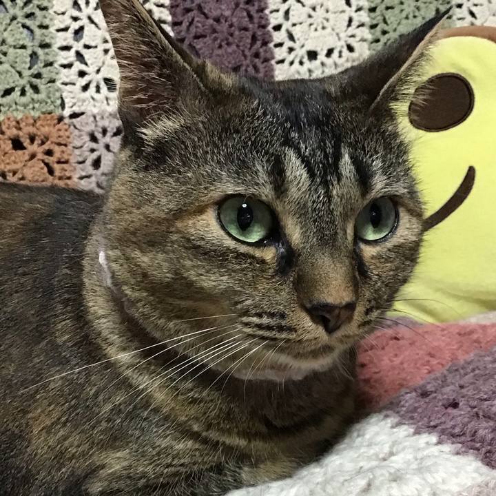 0327e959 91cb 47d6 9261 9c53b5cfe187 1722677409776