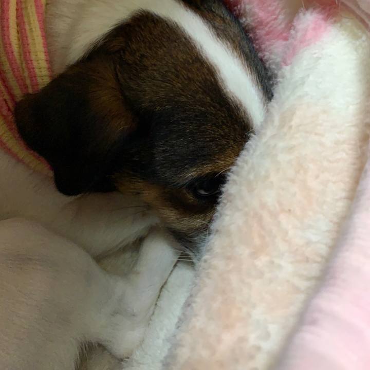 032833fb 1043 493a a70c 2b7703be7565 1581681695861