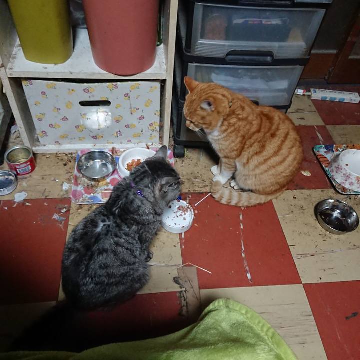 03285412 307a 4c3c aa1d 44a1a195b98d 1581626278290