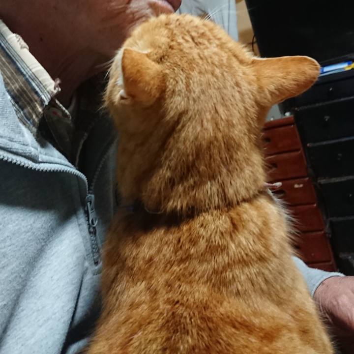 03285e92 7e7c 418f be34 49e085f2902f 1608061424361