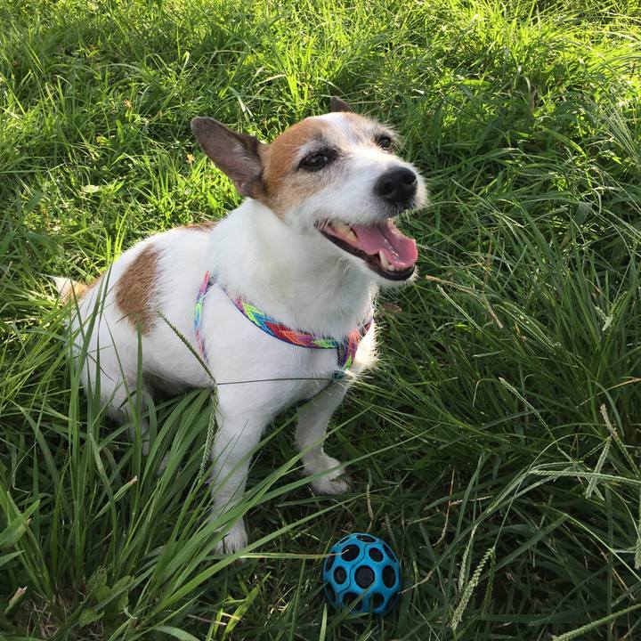 032864d9 fd26 4886 bccd 784c9e5f72c4 1630194733171