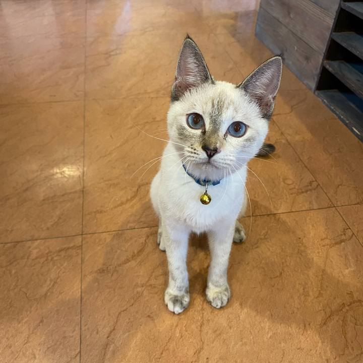 03286d51 7f1f 4b8c a5f3 0f65435f69d9 1634113243178