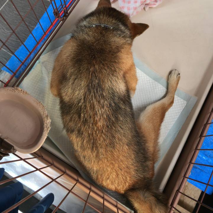 03287094 3e22 4f93 856f 1ddd3073022e 1533633620574