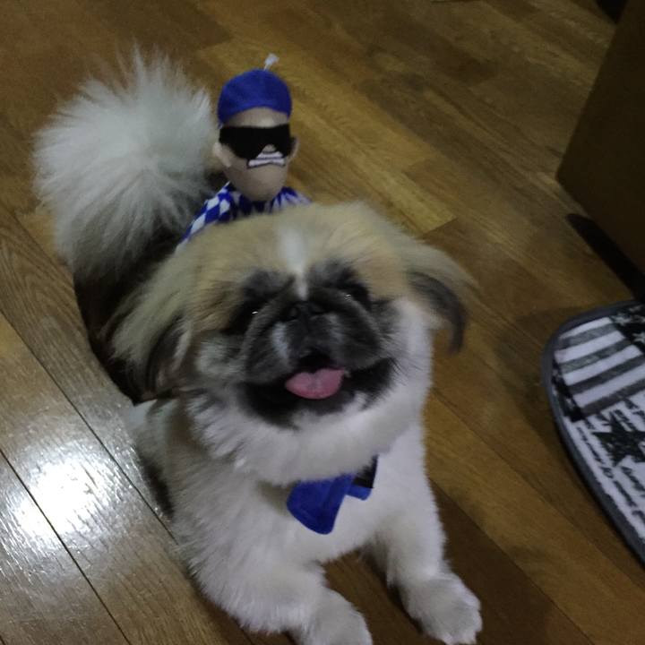 03289466 b8e0 4286 a24e 493b4eca0a04 1509759120435