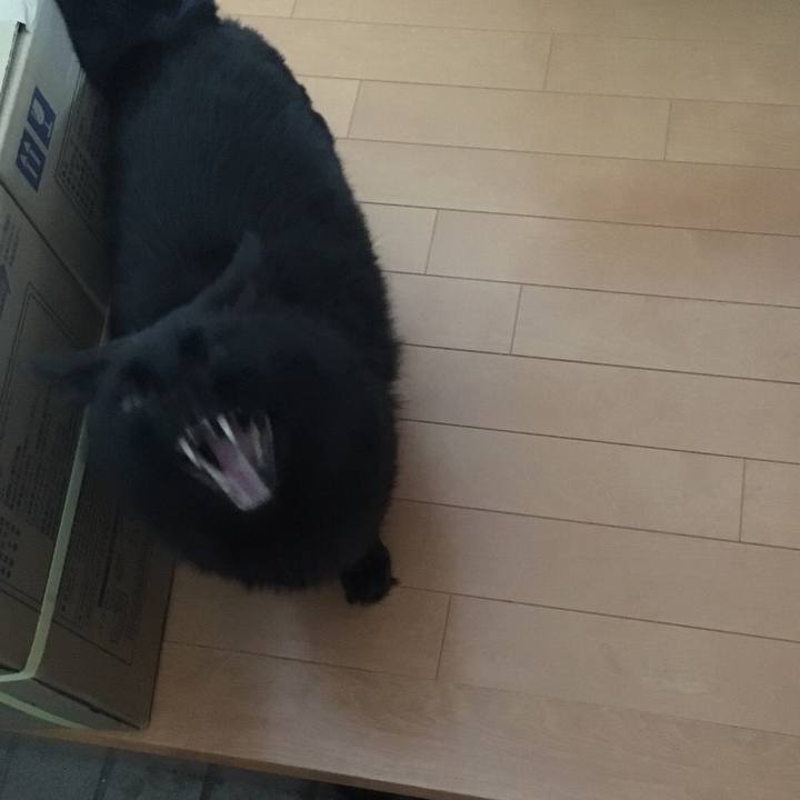 0328989a b43c 4eed a2a6 c63087048bbb 1517292362715