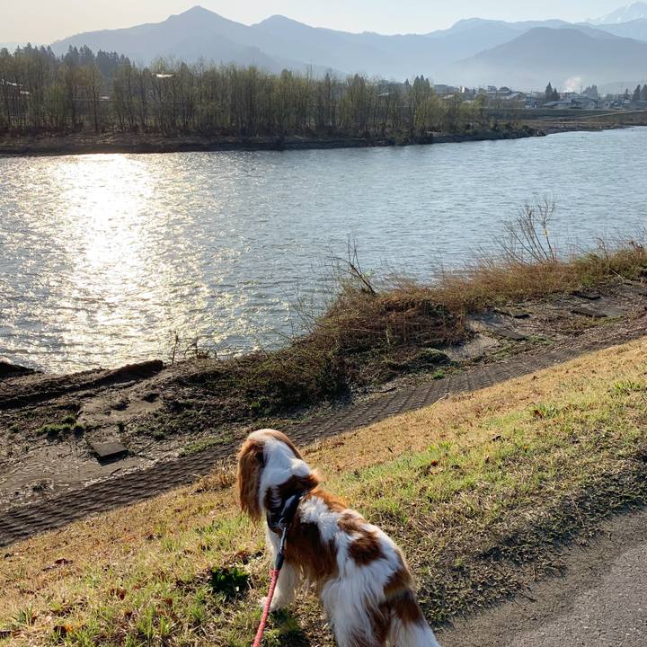 0328a68a d311 4e4d ab41 b9459629f0a9 1585866917154