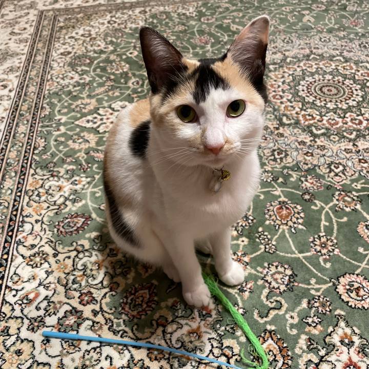 0328c027 7856 42a9 9ac7 3c9619962b7f 1681656146330