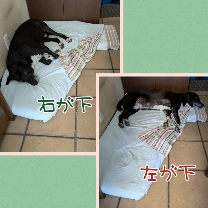 0328ff87 3f43 4909 8ccf c8ffe2e4ec42 1726659402290