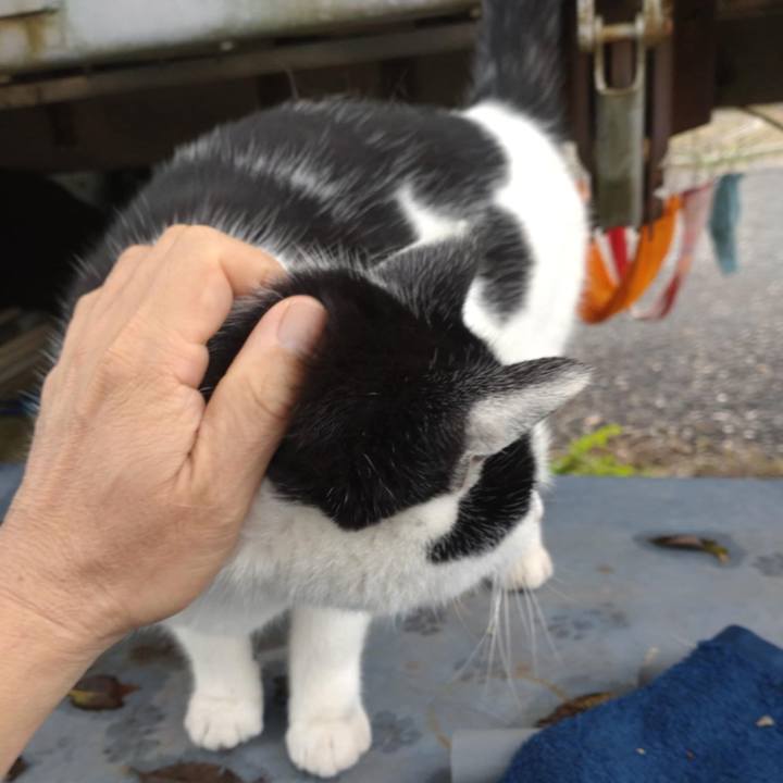 032920b2 dcf6 481d 9de2 43eb16d9f079 1731645446898