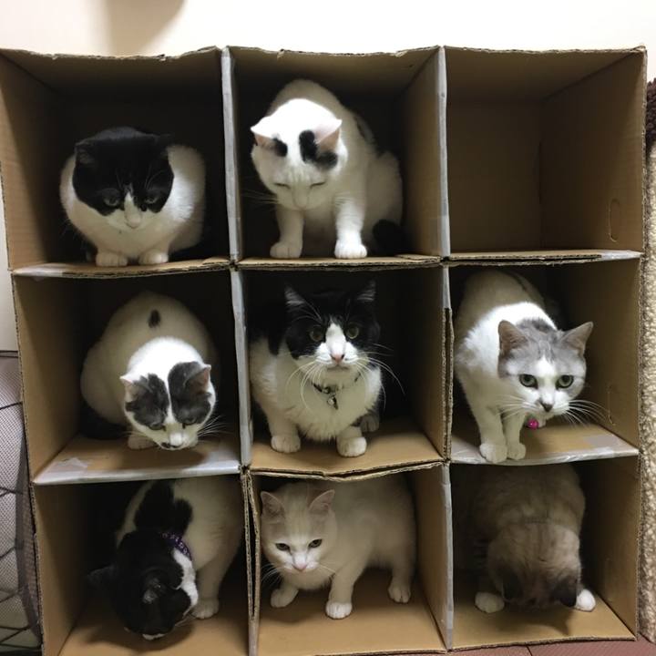 032940bb 8102 47eb 8ce3 10119a64d31a 1566385972222