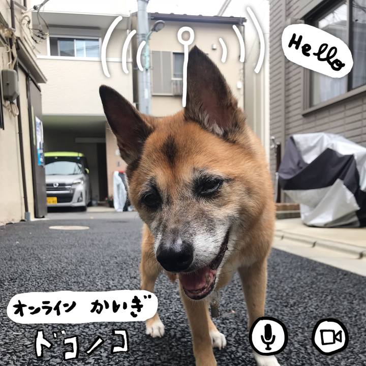 03297763 c572 45c7 9ef6 b979b4d0fedb 1590701116643