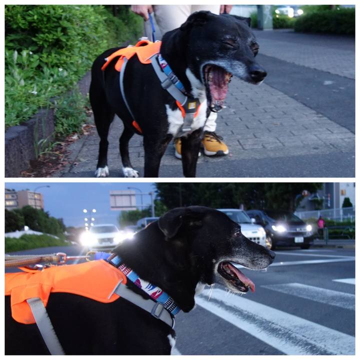 0329e46e 9ecc 4ca3 aec4 e3a2f12e8feb 1748775961766