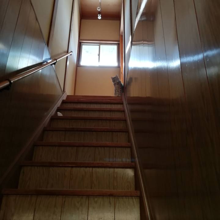 0329fdff c1cf 4d33 8027 234ca0c4cbf5 1550985669649