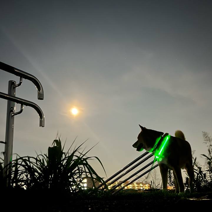 032a190d 61a3 40ea 920c a98e7d6f71fc 1721569036796