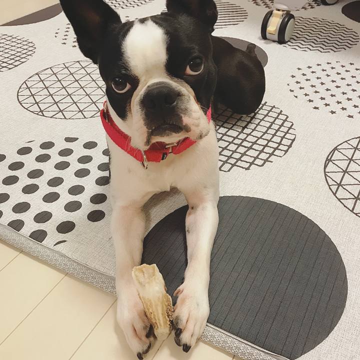 032a2a5e cc07 40cd 87f0 b863da876a62 1523763364440