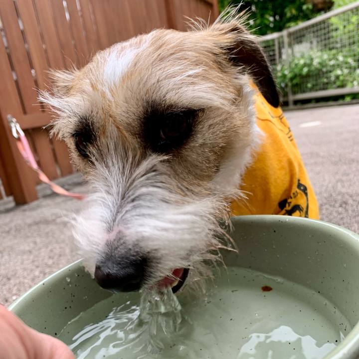 032a4de7 115a 4e80 9f41 2a16aca1ed64 1622203188345