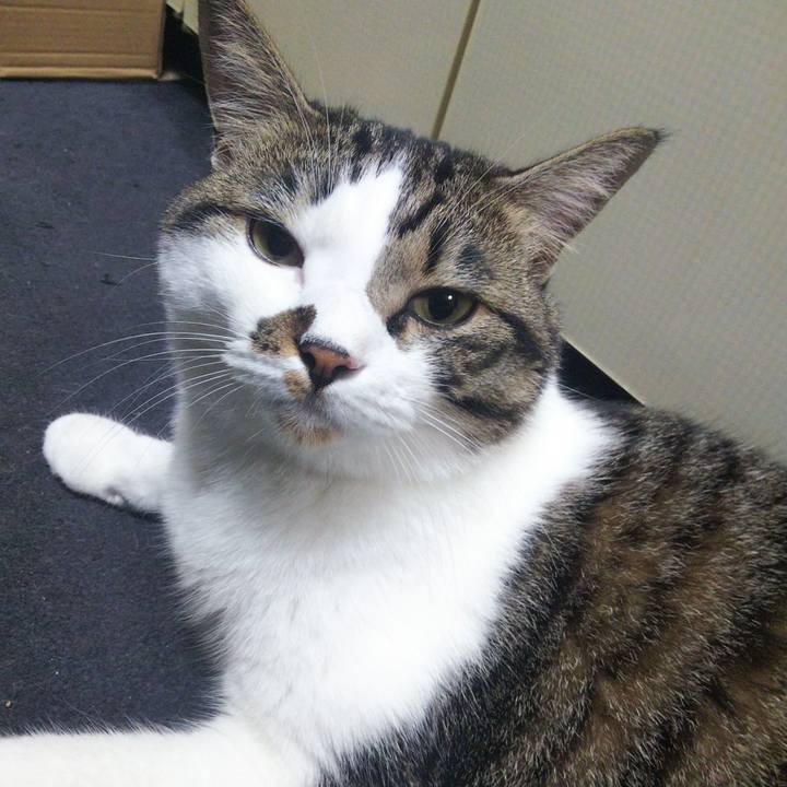 032a503f e2fd 4ae5 848c 3193809c6b78 1660229034307