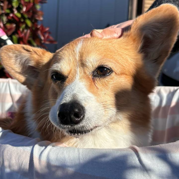 032a5358 7366 4e7d b8c3 c8c155d8c0f0 1733712751892