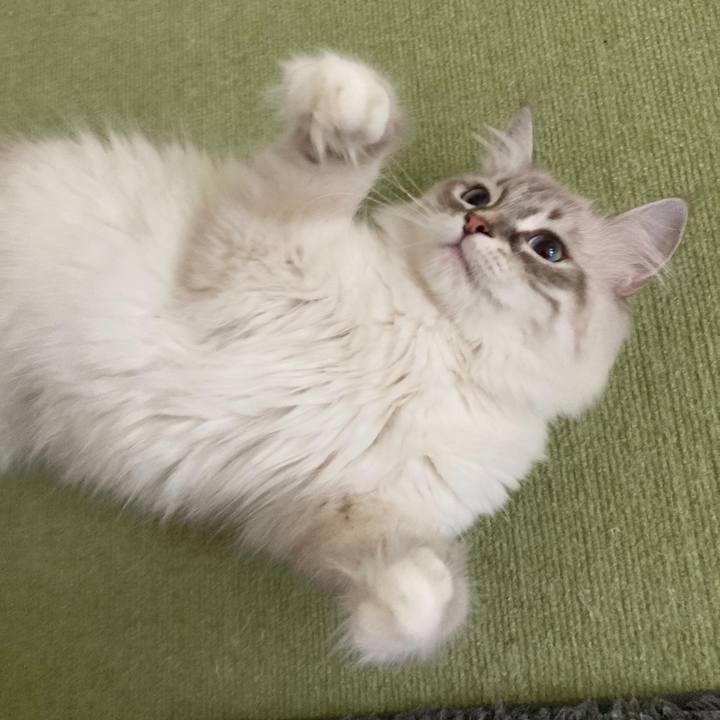 032a59a0 b6c4 44bc 8965 5824449f0aca 1686308615189