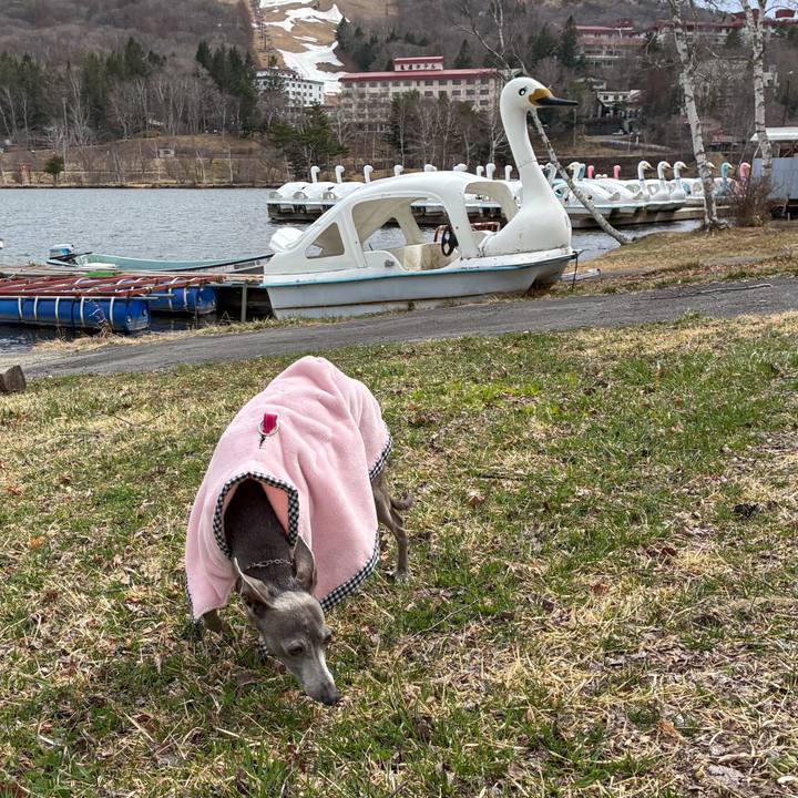 032a9754 6d6e 4ecd 82fd e90f5f3ceeca 1776512321670