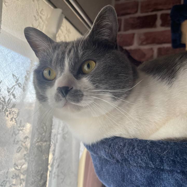 032aabfa 44e6 47a8 8321 62b9a299baa1 1680127308275